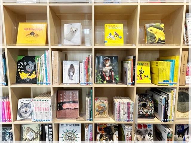 「こども本の森 中之島」の館内の様子。12テーマで排列