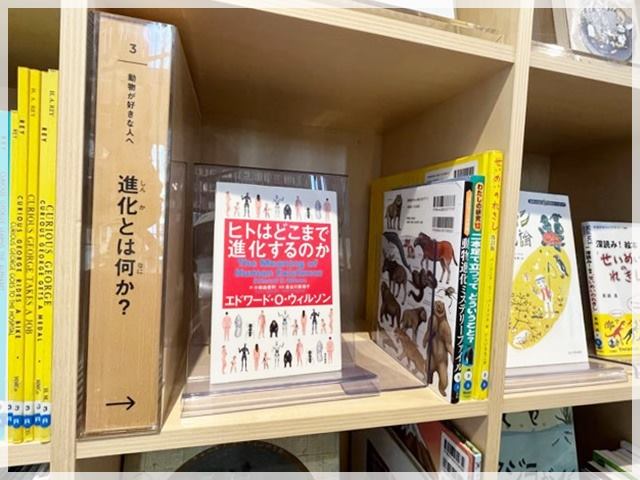 「こども本の森 中之島」の動物がテーマの本棚にある進化の本